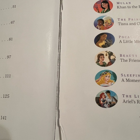 Disney Princess Storybook Collection - Picture 2 of 6